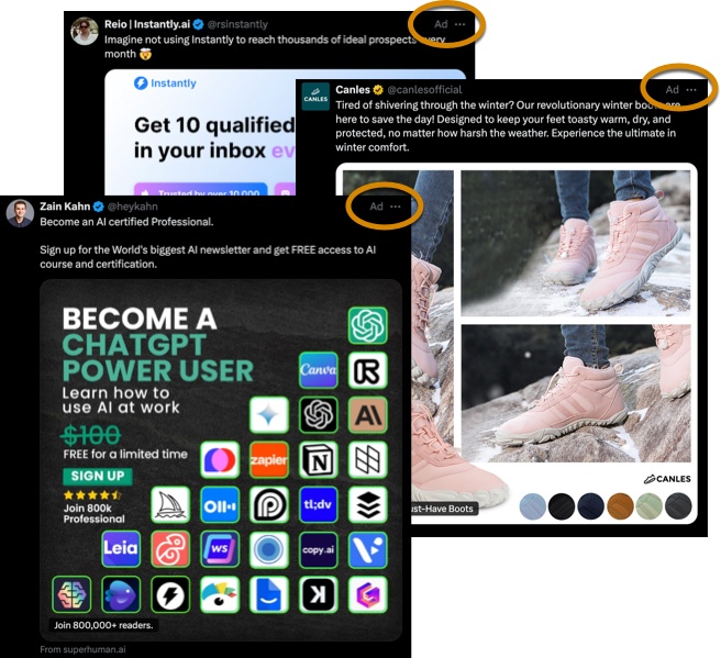 Examples of promoted posts shown on X