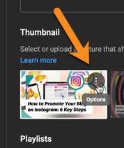 Click the Options button on your thumbnail to change it