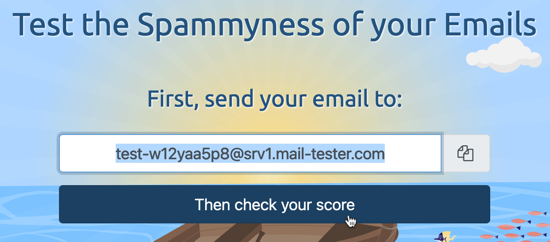 Test your emails to check if the content is identified as spam and other issues