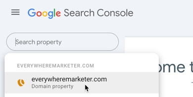 Choose your property from within Google Search Console