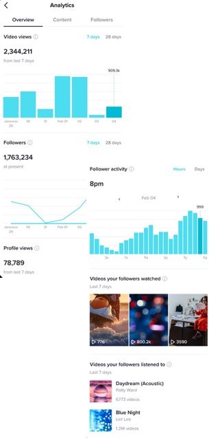 Sample analytics on TikTok