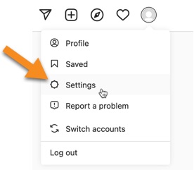 Click on Settings from the top Instagram menu