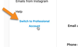 Click the Switch to Professional Account link