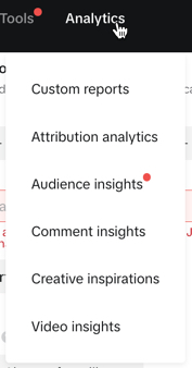 Analytics tools in the TikTok Ad Manager