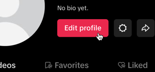 Ensure you edit your TikTok profile before running ads