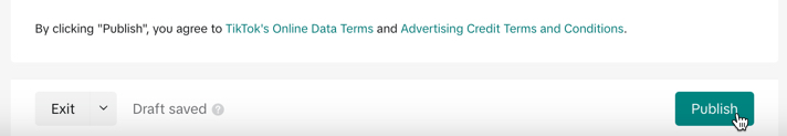 Launch your campaign on TikTok by clicking Publish