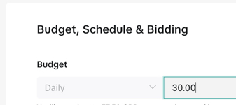 TikTok’s ad budgeting options