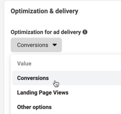 The optimization option you choose affects your detailed targeting