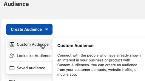 From within Facebook Ads, click Create Audience and then Custom Audience