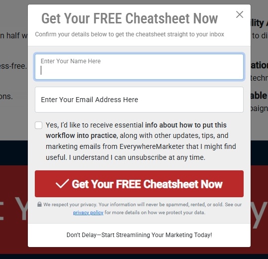 Opt in form for a freebie lead magnet example