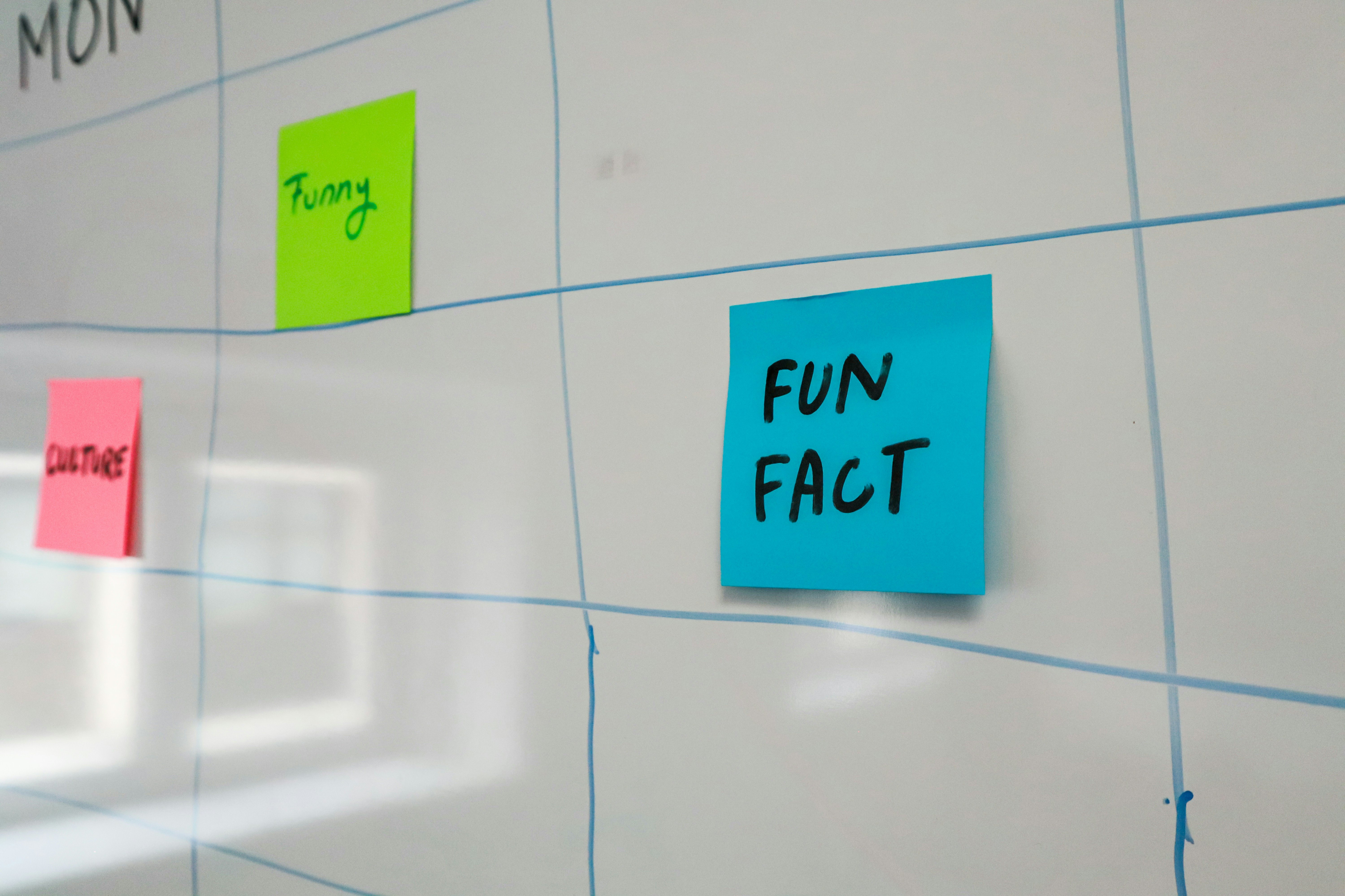 Fun fact note posted on the whiteboard for an Instagram idea