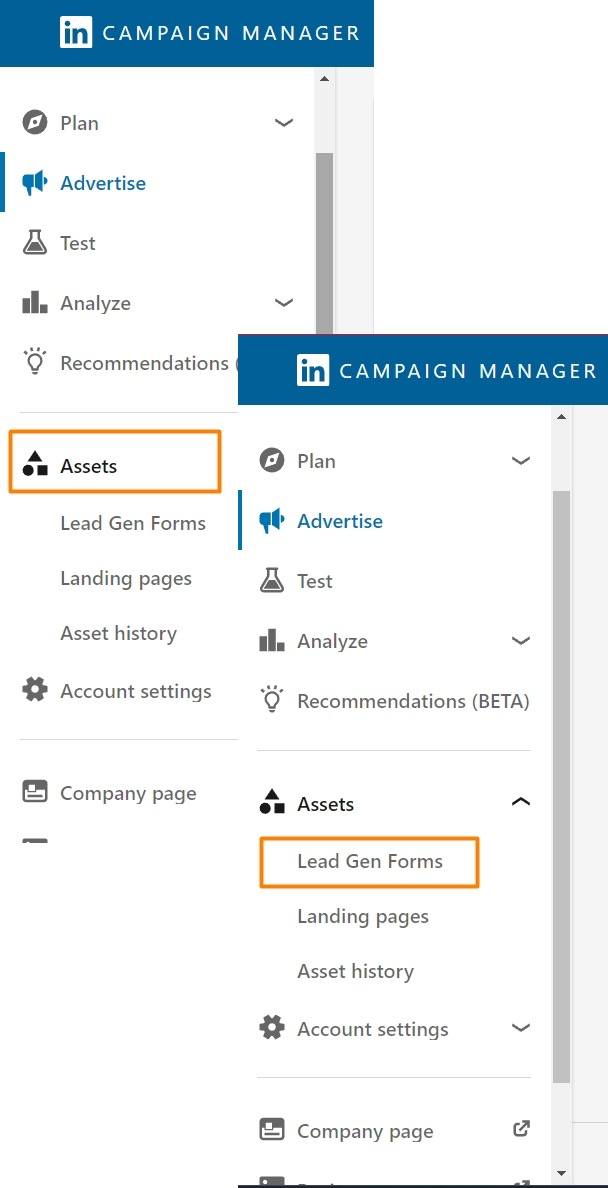 Select the Assets option on LinkedIn to start the form