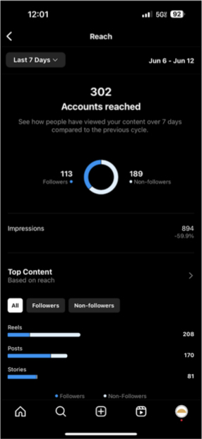 Instagram Insights example for content