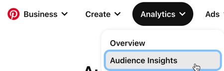 Pinterest’s Audience Insights tool will help you understand your audience on the platform