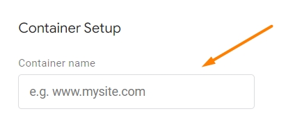 Domain name section for the website for Google Tag Manager